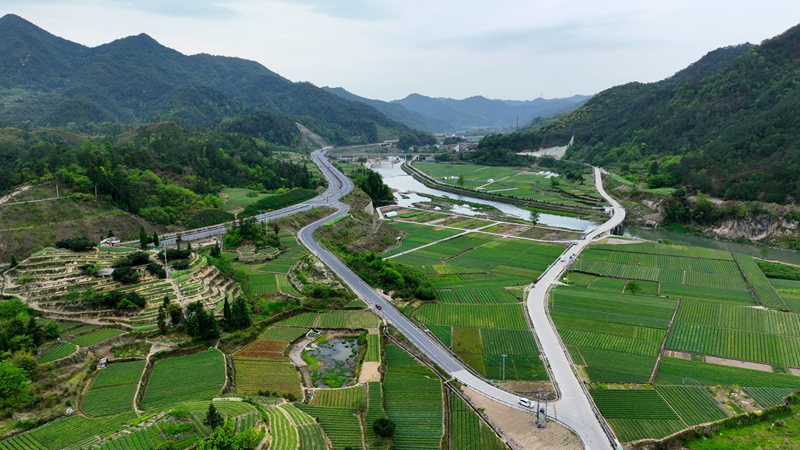 浙農(nóng)浙貝母、杭白菊基地通過中藥材GAP延伸檢查